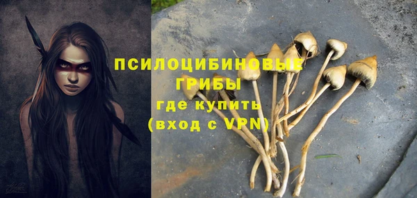 мяу мяу мука Заводоуковск