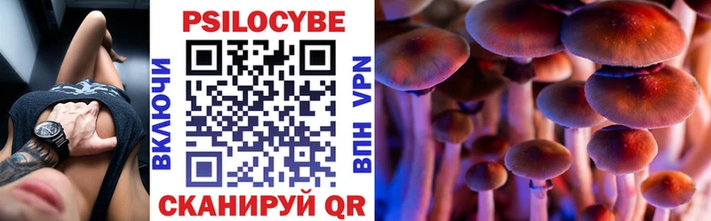 Псилоцибиновые грибы Psilocybe  Купить закладки  Боровичи 